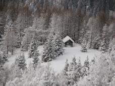 Klik za večjo sliko